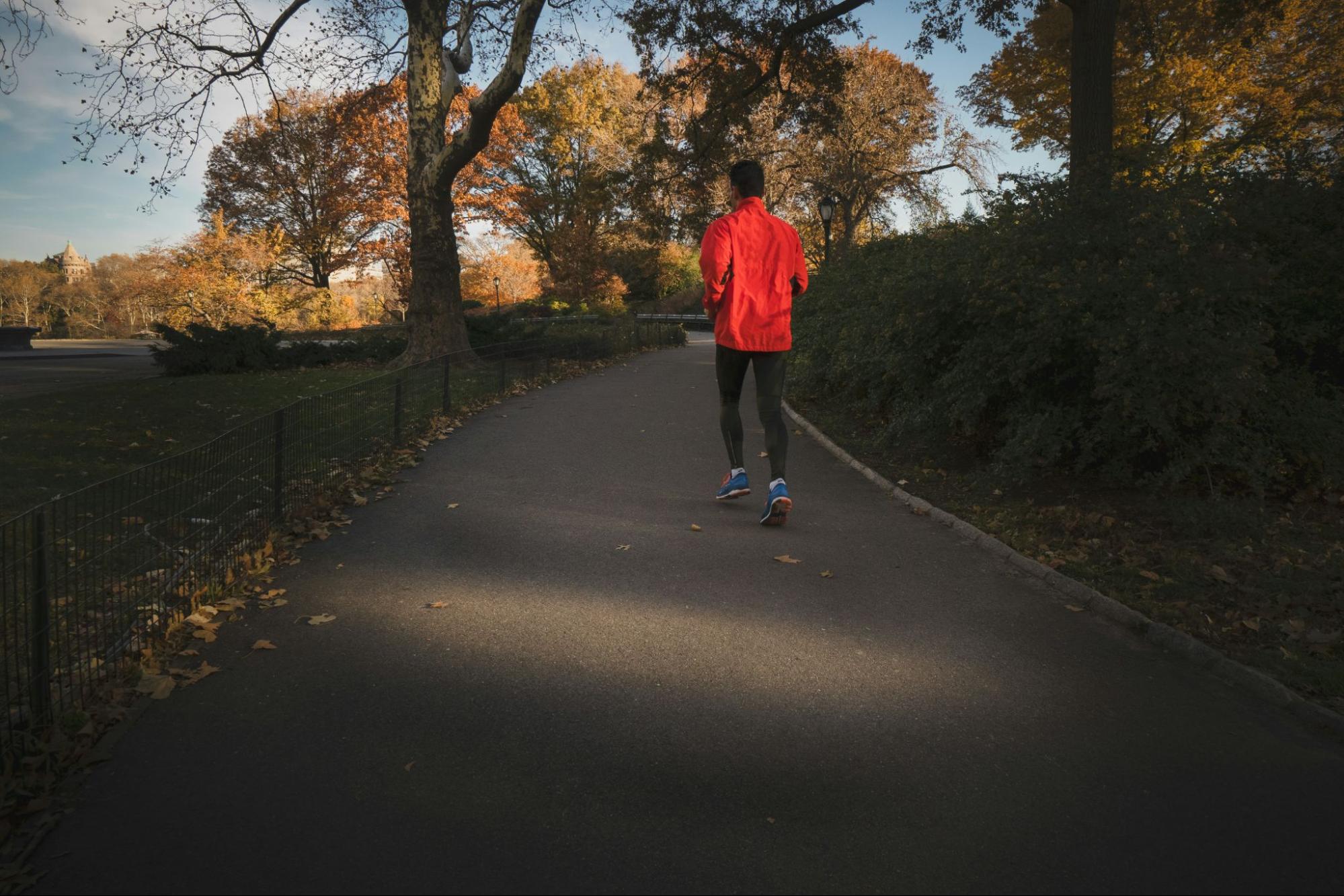 Structured Healing Daily Life at Addiction Recovery Centers for Athletes Structured Healing Daily Life at Addiction Recovery Centers for Athletes